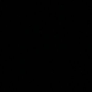 Meet your Posher, Tzippy